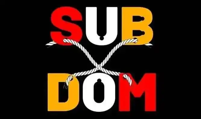 【西檬之家-BDSM是什么？字母圈新人入圈指南】