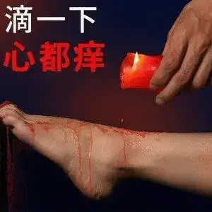 西檬之家-字母圈K8猫系入门指南