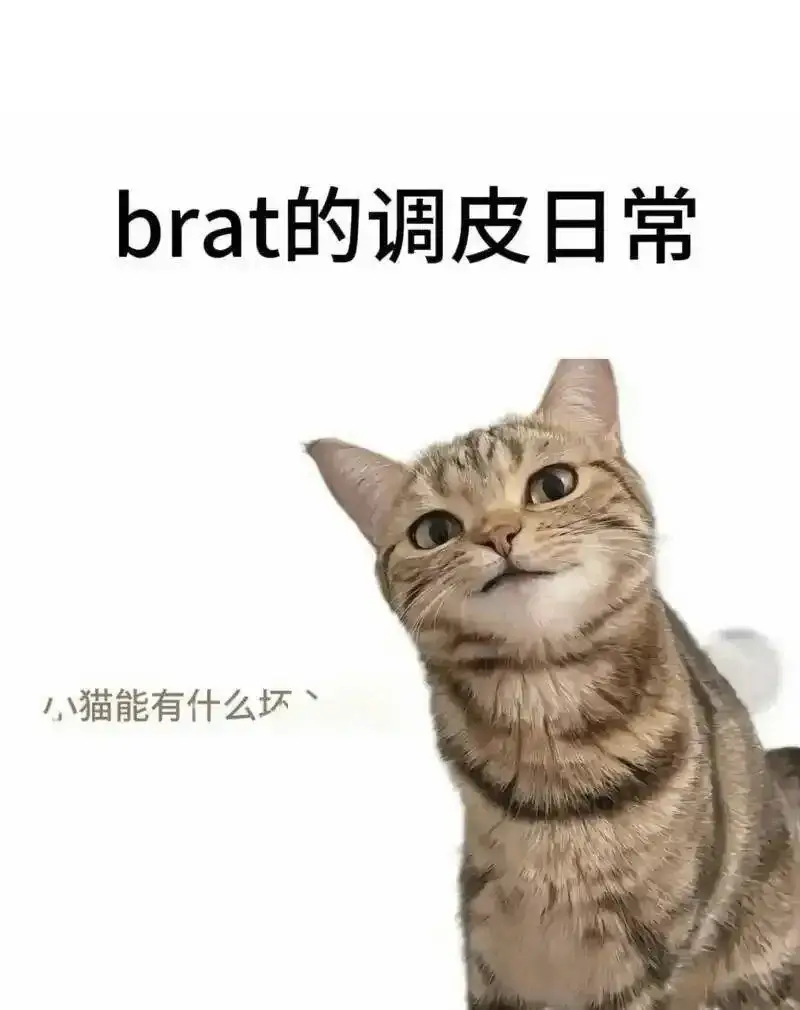 西檬之家-字母圈Sp实践指南