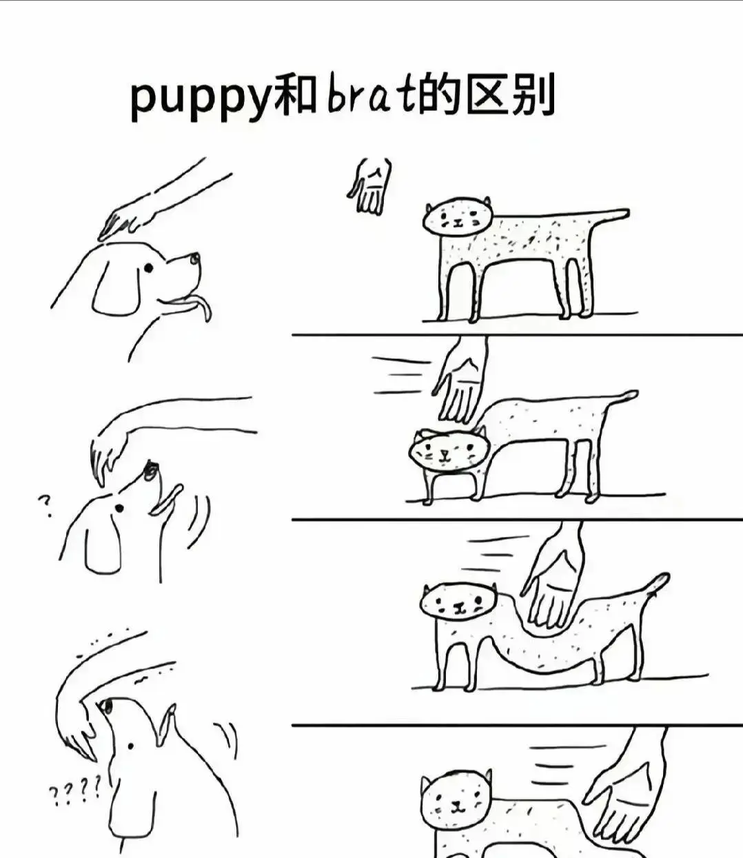 西檬之家-字母圈DS关系实践指南