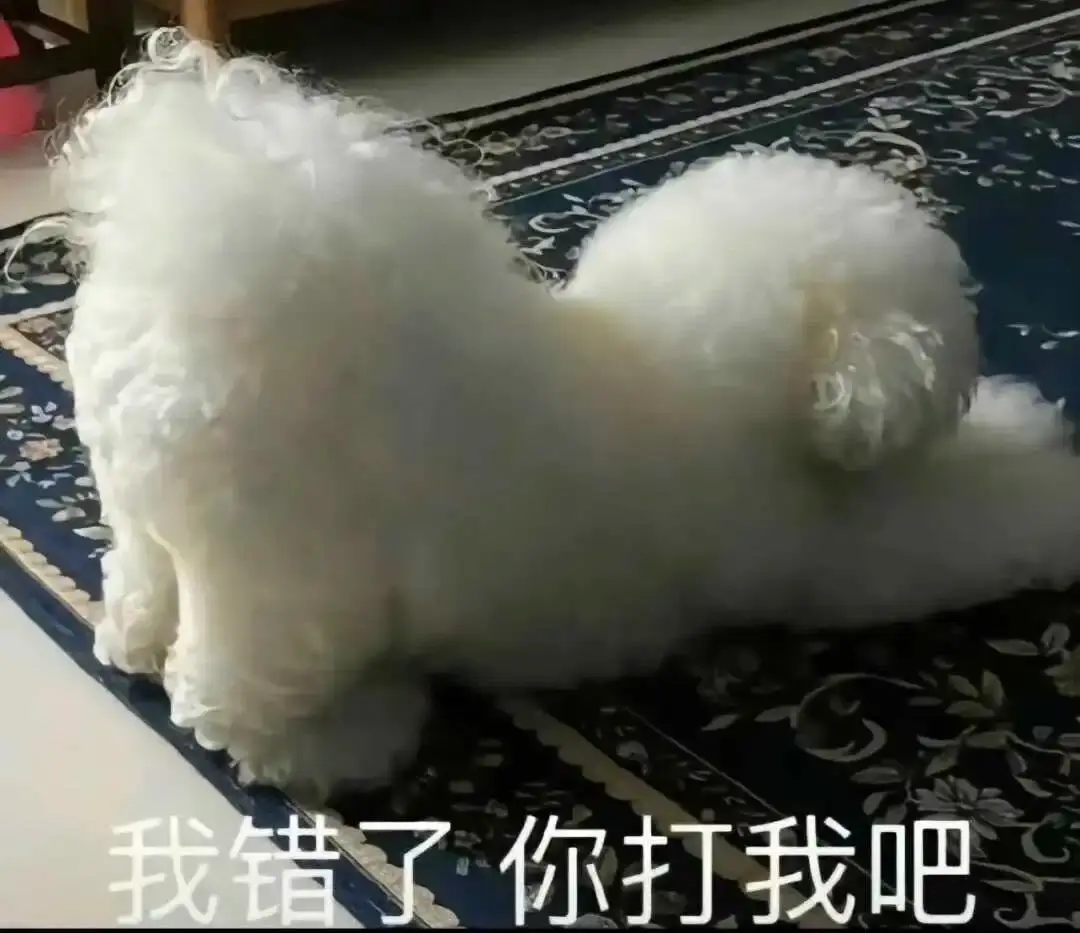 M倾向 - 2023_12_05_21_26_IMG_9543