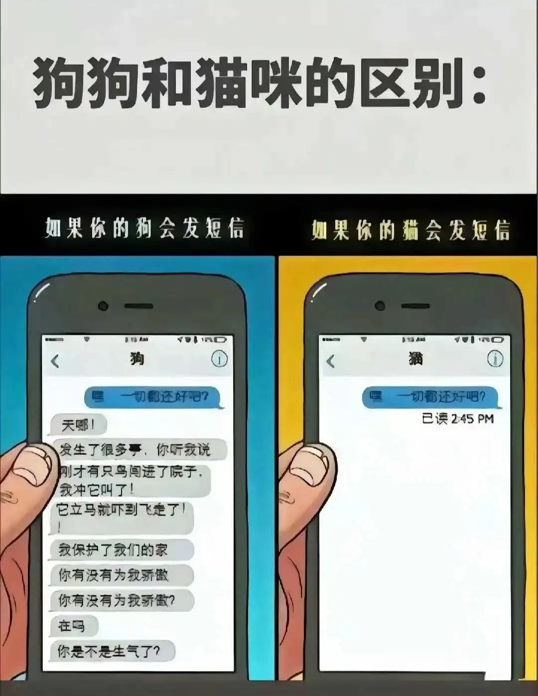 西檬之家-字母圈BDSM基础指南