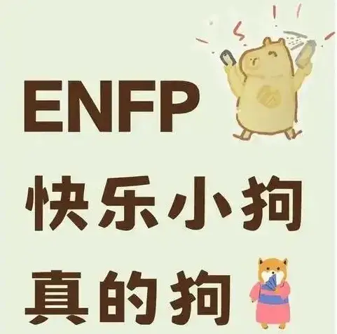 k8猫系 - 微信图片_20250715173329