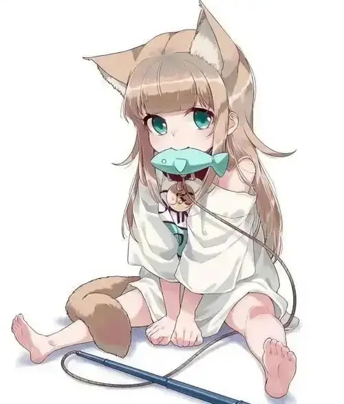 k8猫系 - 微信图片_20250717021636
