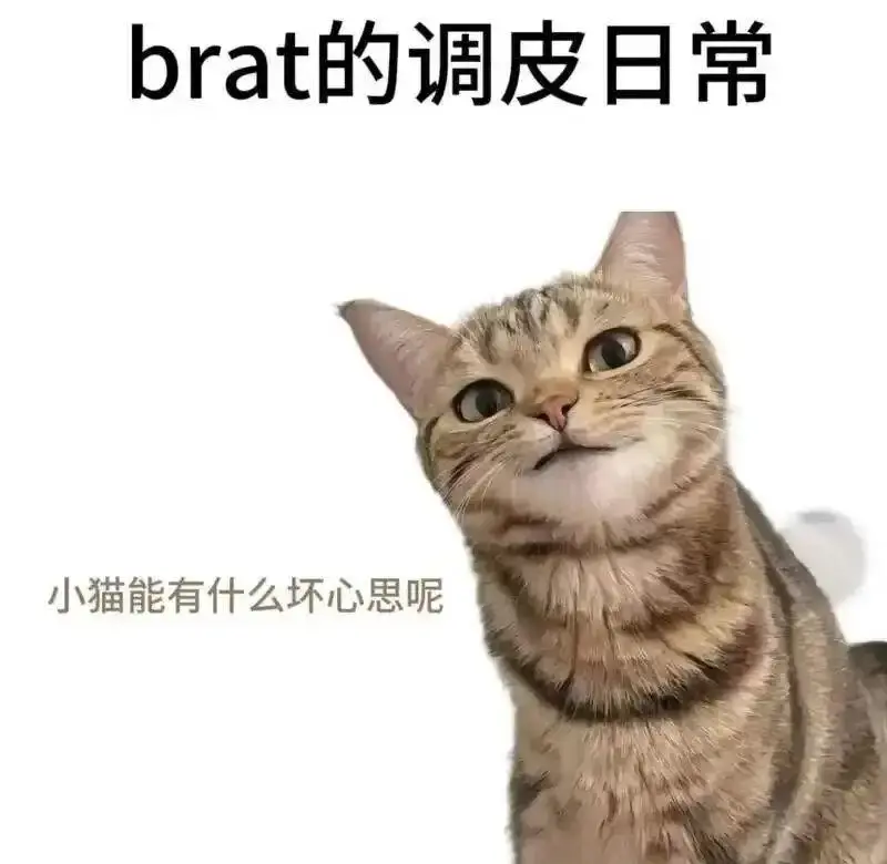 【西檬之家-字母圈Sp实践指南】
