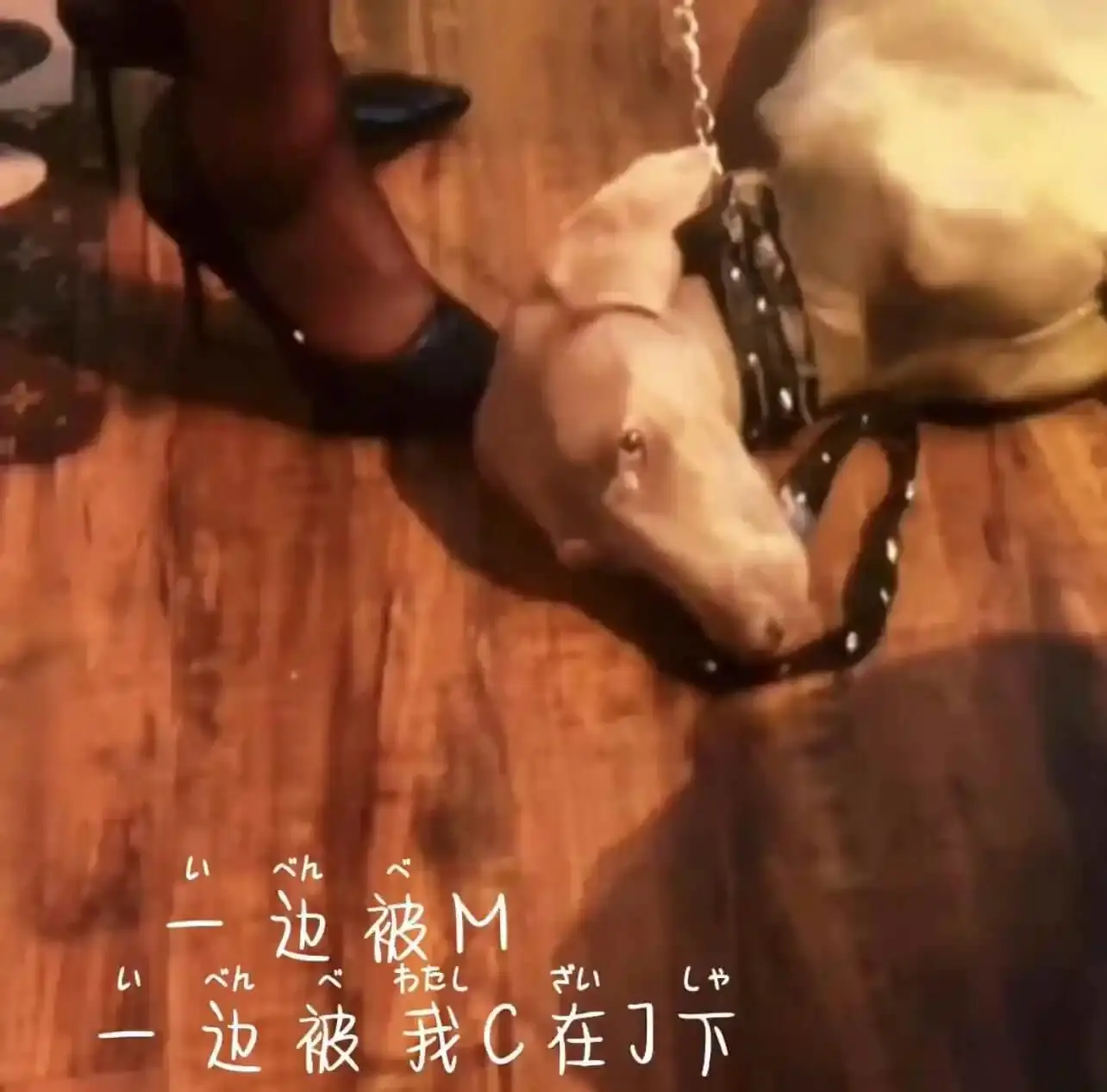 【西檬之家】-字母圈K8是什么？BDSM新人指南